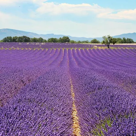 Roulotte Bohemian Lover In Provence, *
