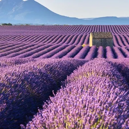 Roulotte Boheme En Provence, Terra Luna,