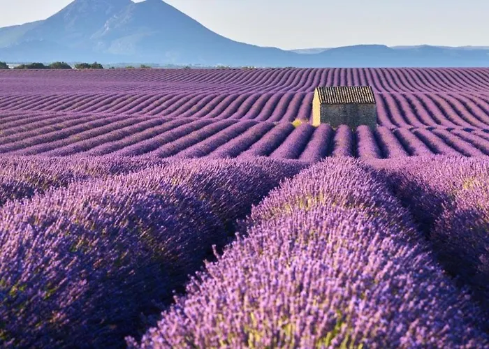 Roulotte Bohème En Provence, Terra Luna,